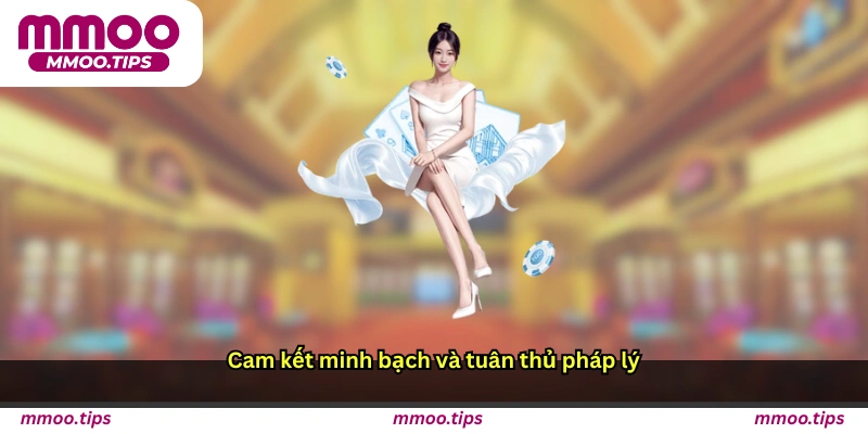 Cam kết minh bạch và tuân thủ pháp lý