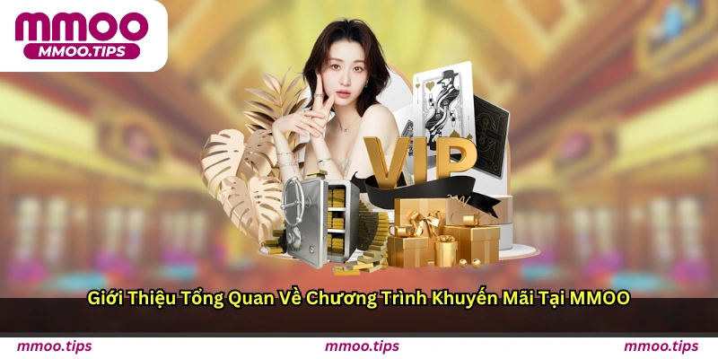 Giới thiệu tổng quan về chương trình khuyến mãi tại MMOO