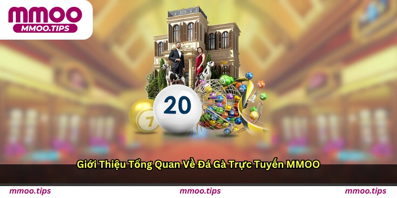 Giới thiệu tổng quan về đá gà trực tuyến MMOO