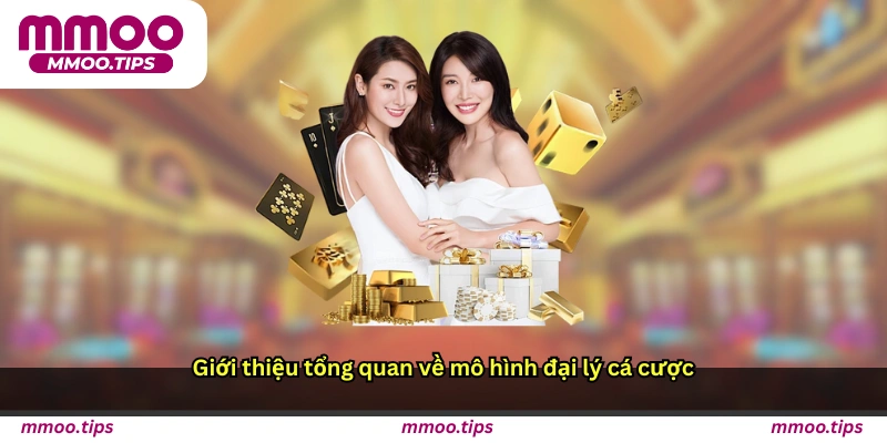 Giới thiệu tổng quan về mô hình đại lý cá cược