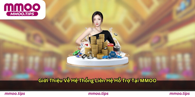 Giới thiệu về hệ thống liên hệ hỗ trợ tại MMOO