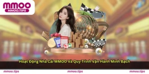 Hoạt động nhà cái MMOO và quy trình vận hành minh bạch