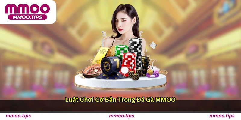 Luật chơi cơ bản trong đá gà MMOO